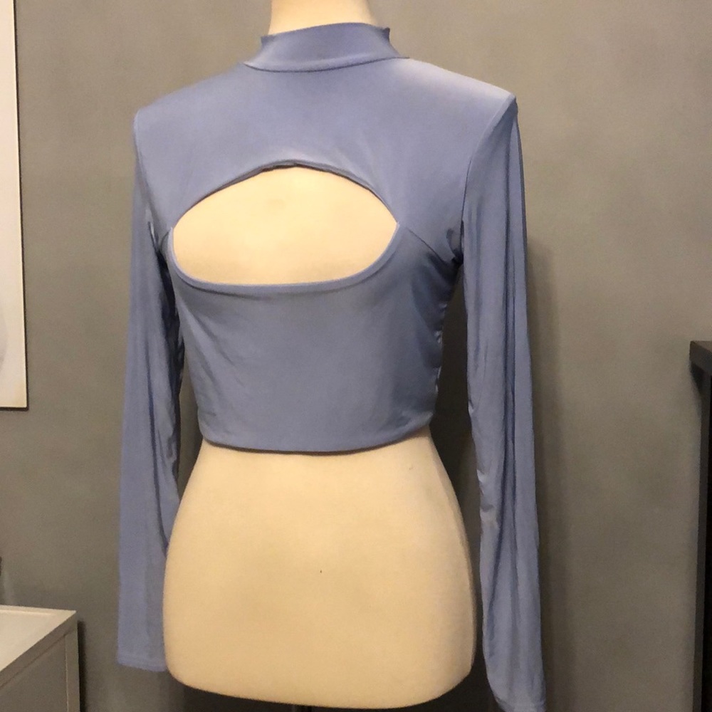 Pretty Little Thing Crop Top